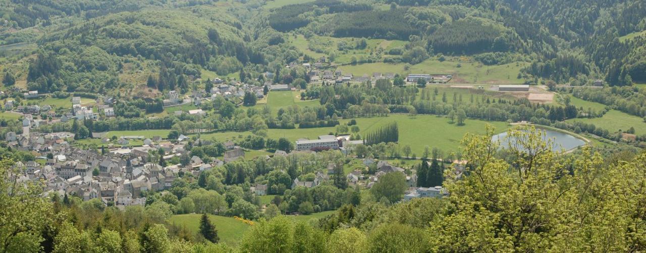 Gite Du Haut Cantal - Appartements Meubles Avec Kitchenette Et Chambres Sans Kitchenette Condat  Экстерьер фото